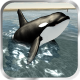 Orca Whale Simulator 3D