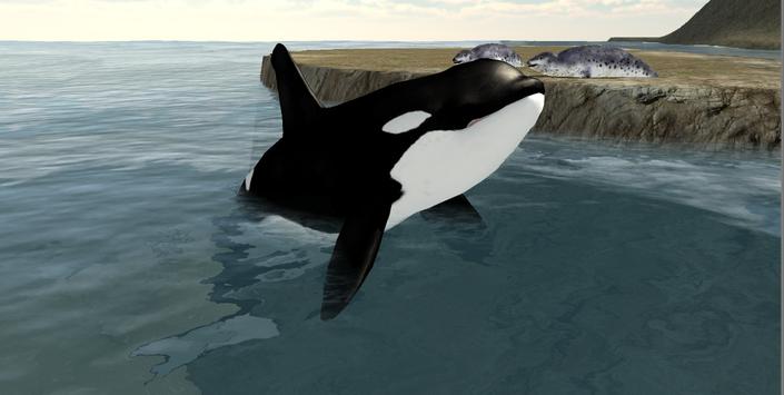 Download Orca Whale Simulator 3d Apk For Android Latest Version