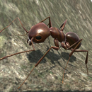 Ant Simulation 3D APK