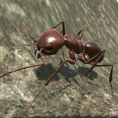 Ant Simulation 3D-icoon