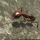 Ant Simulation 3D アイコン