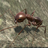 Ant Simulation 3D simgesi