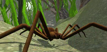 Spider Simulator