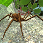 Spider Simulator ไอคอน