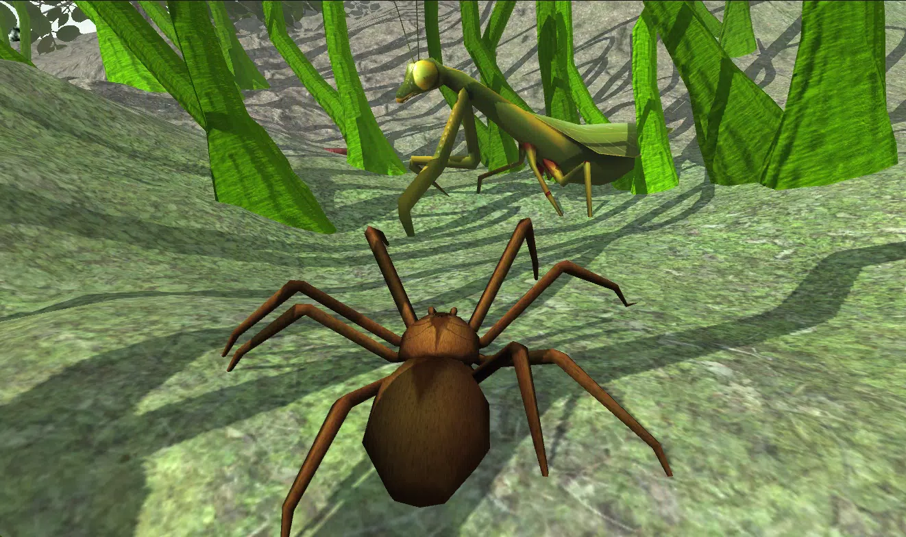 Spider Long: Survival Game APK for Android Download