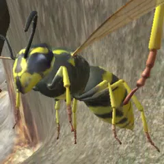 Wasp Nest Simulator XAPK download