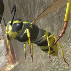 Wasp Nest Simulator XAPK 下載