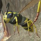Wasp Nest Simulator आइकन
