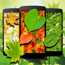 Falling Leaves Live Wallpaper APK