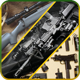 Weapons Gun Pistol Sound