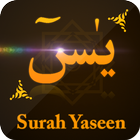 Surah Yaseen Audio Translation icône