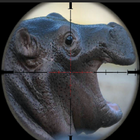 Angry and Wild hippopotamus Hunt manic Attack icône