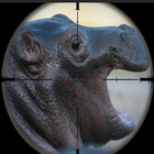 Angry and Wild hippopotamus Hunt manic Attack icon