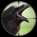 City Crows Hunter 3D Simulator APK