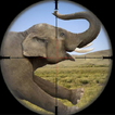 Wild Elephant Hunting Attack