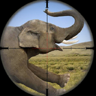 Wild Elephant Hunting Attack icône