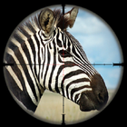 Zebra Safari Hunter - Wild Hunter 3D Simulation icône