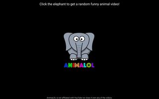 AnimaLOL Affiche