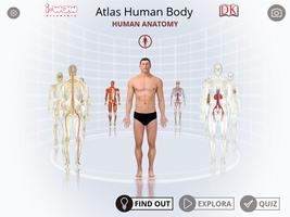 i-Wow Atlas Human Body poster