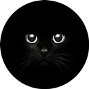 black background APK