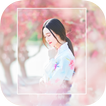 Blur Image - Photo Blur