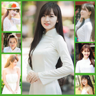 Best Photo Grid - Photo Cute 2020 biểu tượng