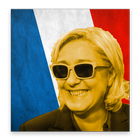 Soundbox de Le Pen icône