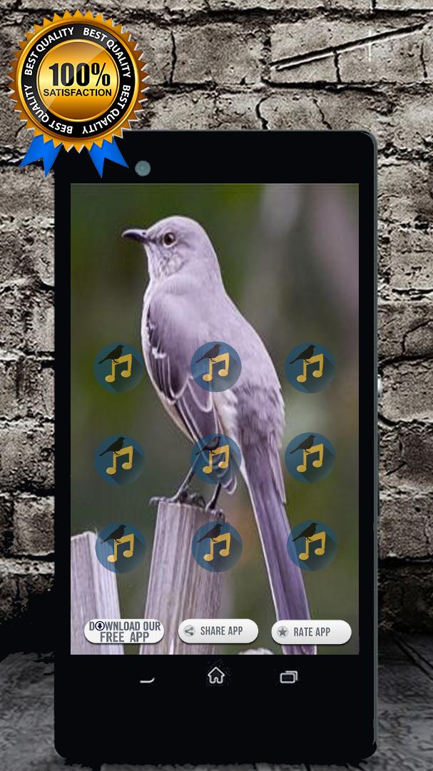Mockingbird Song : Mockingbird Call for Android - APK Download