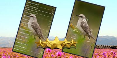 Mockingbird Sounds screenshot 2