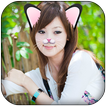 Cat Face Photo Editor