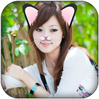 ikon Cat Face Photo Editor