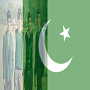 Pakistan Flag Face Photos 2016 APK