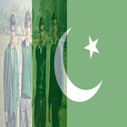 Pakistan Flag Face Photos 2016 icon