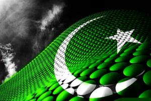 Pakistan Flag Face Photos 2016 screenshot 1