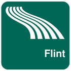 Flint أيقونة