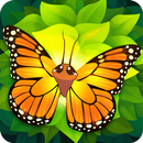 Flutter APK