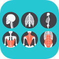 A to Z Anatomy