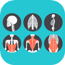 A a Z Anatomia APK