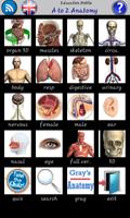 A to Z Anatomy poster