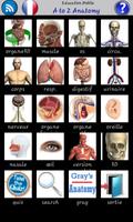 برنامه‌نما A to Z Anatomy عکس از صفحه