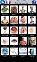 A to Z Anatomy screenshot 1