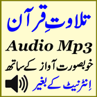 Audio Mp3 Quran Free Tilawat icône