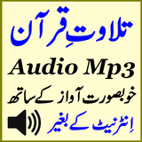 Audio Mp3 Quran Free Tilawat icône