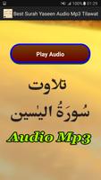 Best Surah Yaseen Audio Mp3 capture d'écran 1