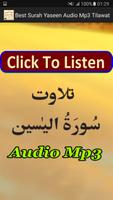 Best Surah Yaseen Audio Mp3 capture d'écran 3