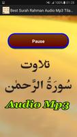 Best Surah Rahman Audio Mp3 capture d'écran 2
