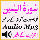 Best Surat Yaseen Mp3 Audio-icoon