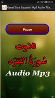 Great Sura Baqarah Mp3 Audio screenshot 2