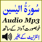 Great Surah Yaseen Audio Mp3 ไอคอน