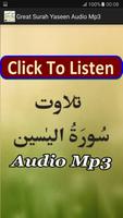 Great Surah Yaseen Audio Mp3 โปสเตอร์